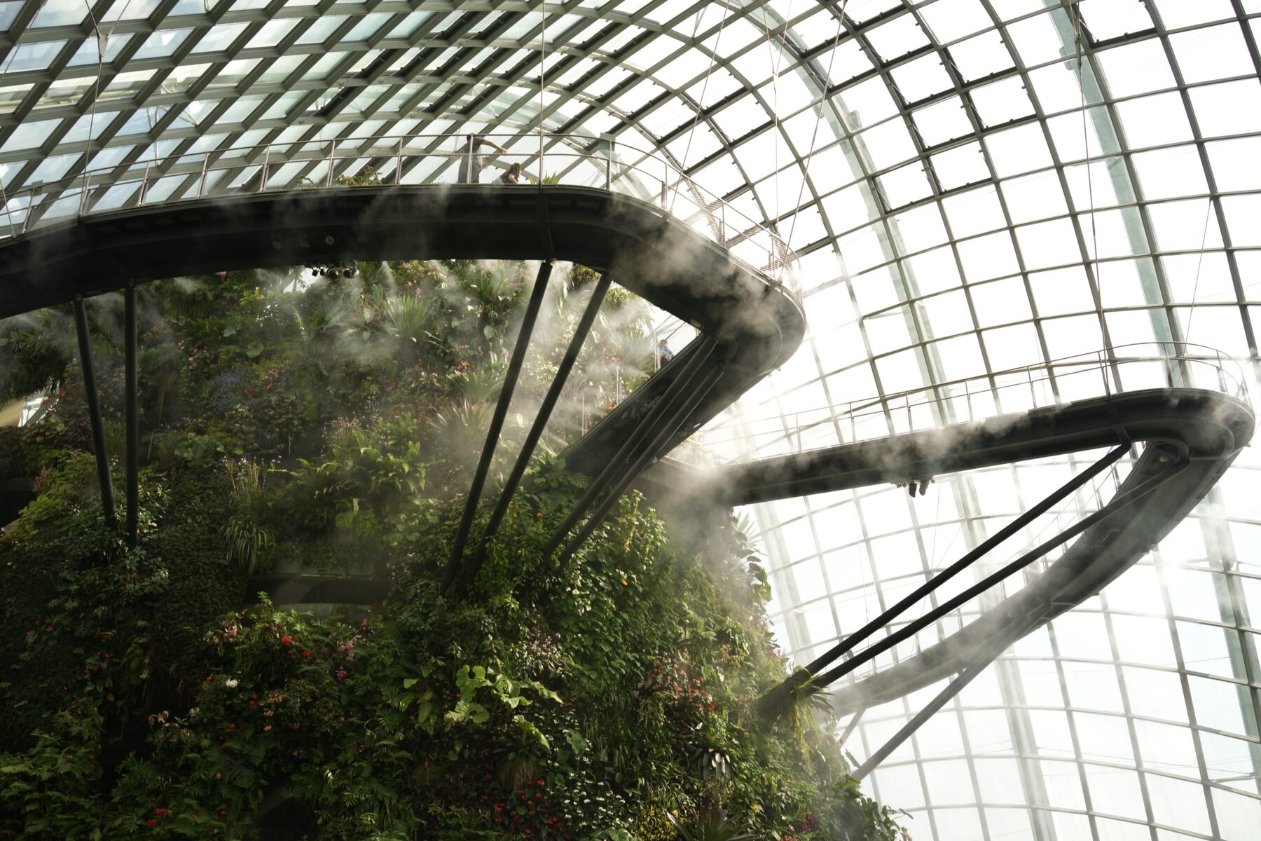 Cloud Forest: discover the crux of modern-day environmentalism