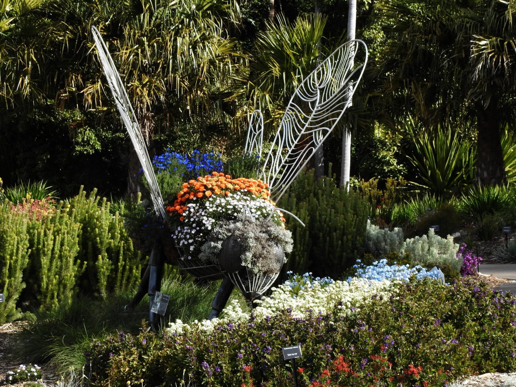The Australian Botanic Garden Mount Annan: A fun day out for all the family