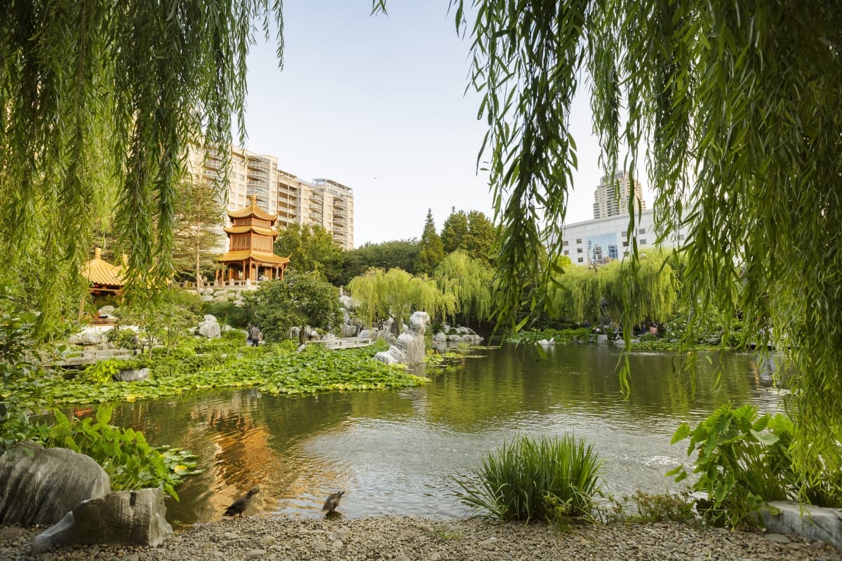 Sydney’s Chinese Garden of Friendship: An Oasis of tranquillity