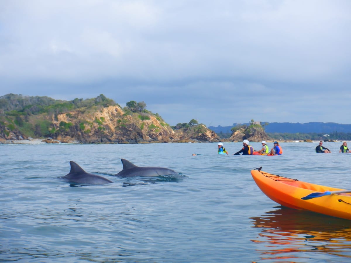 Go Sea Kayak: Discover Cape Byron Marine Park in a mindful manner
