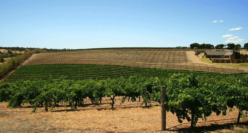 Sustainable wineries around Adelaide: The top 10